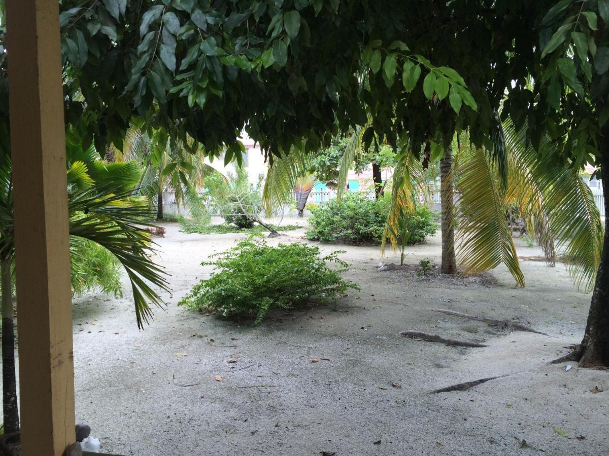 Jaguar Morning Star Otel Caye Corker Oda fotoğraf